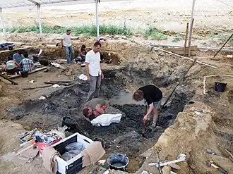 Image illustrative de l’article Site paléontologique d'Angeac-Charente