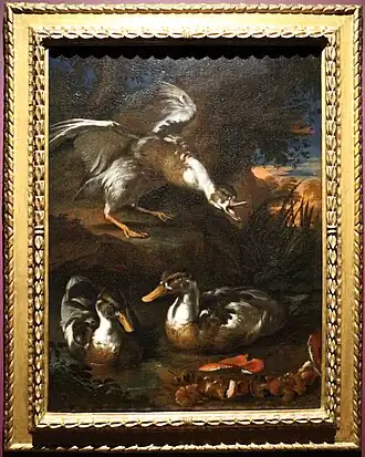 Anatre e funghi in un paesaggio boscose (vers 1750), huile sur toile, 98,3&nbsp;×&nbsp;74,4&nbsp;cm, Musée des Bons-Enfants (Maastricht), prêt de la Ger Eenens Collection The Netherlands,.