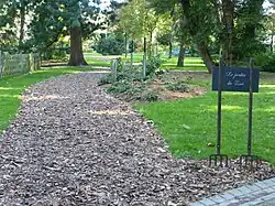 Le jardin de Zoé