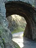 Tunnel