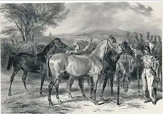 Angevin