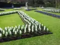 Jardin avec des jacinthes au printemps
