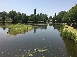 Anglin à Bélâbre