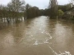Anglin en crue à Mérigny