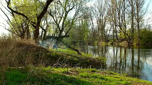 Pêche à la ligne dans l'Ohře.
