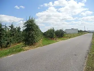 Anielin (Grójec)