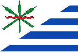 Drapeau de Anjum