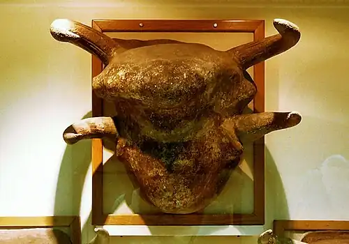 Tête de taureau