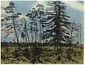 En Finlande, 1910