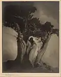 The Heart of the Storm (1914) - Gelatin silver, toned or gelatin silver bromide - Getty Center