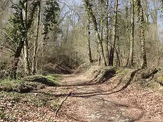 Le GR 124 à l'ouest du village.