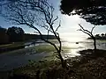 L'Anse Saint-Laurent au soleil couchant et à marée basse.