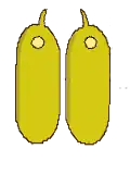 Déhiscence poricide