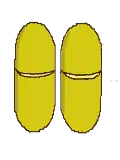 Déhiscence loculicide transversale