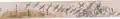 Tsuru emaki. Anthologie de poésie et grues en vol. Calligraphie: Kōetsu, peinture: Sōtatsu. Kyoto National Museum
