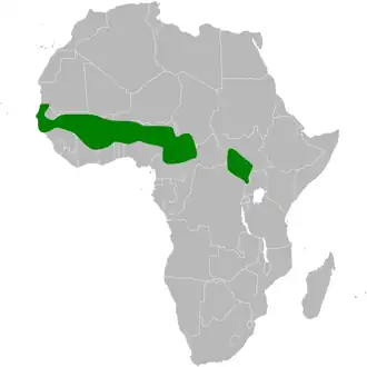 Description de l'image Anthoscopus parvulus distribution map.png.