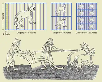 Le furlong et d'anciennes unités de mesure agraire (en réalité très variables)