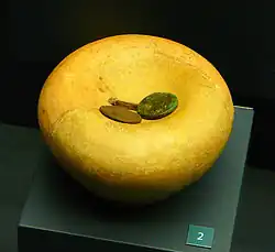 Tirelire Romaine du IIe ou IIIe siècle.