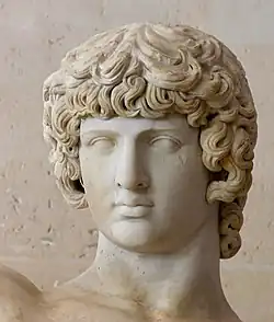 Tête de l'Antinoüs Braschi du Louvre.