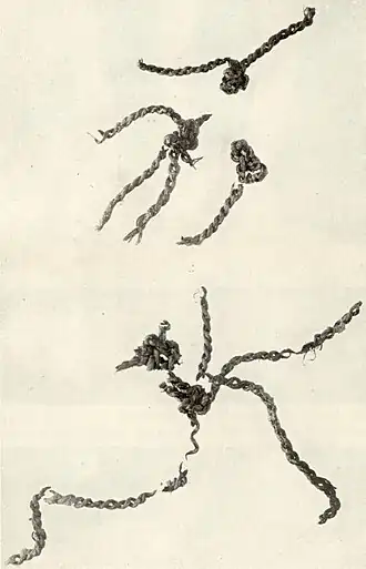 Image illustrative de l’article Filet de pêche d'Antrea
