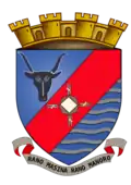 Blason de Antsirabe