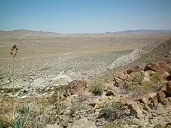 Agua Caliente