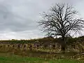 Apiers datant du Moyen Âge.