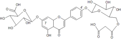 2 malonylflavone