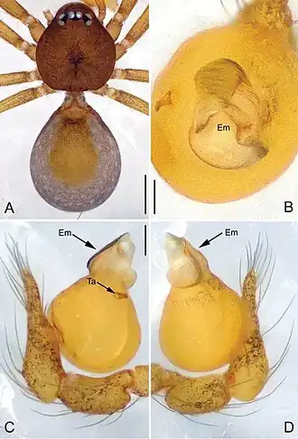 Description de cette image, également commentée ci-après