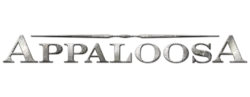 Description de l'image Appaloosa (film).png.