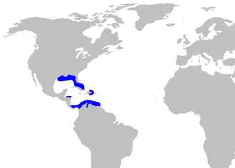 Description de l'image Apristurus riveri distmap.png.