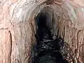 Intrusion de racines de chêne dans l'aqueduc de Fréjus.
