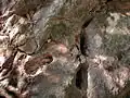 Reste de trous dans la roche pour la tailler avec des coins en bois mouillés.