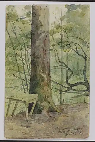 Image illustrative de l’article Forêt de Hesse