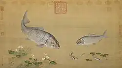 Plantes aquatiques et poissons.
