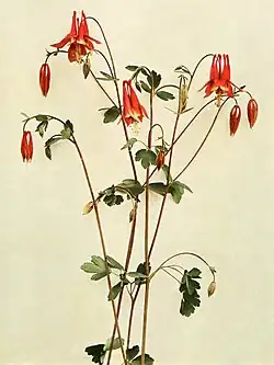 Illustration.
