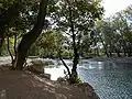 Les bords du Verdouble près de la Caune de l'Arago (2005).