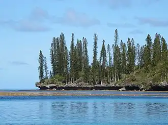 Image illustrative de l’article Île Bayonnaise