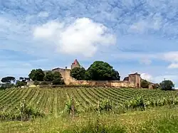 Vue générale au sud (juin&nbsp;2013).
