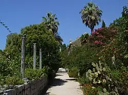 Les scènes extérieures sont réalisées à l'arboretum de Trsteno.