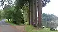 Arboretum de Pézanin.