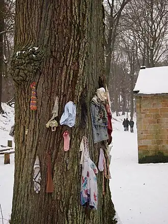 arbre à loques.