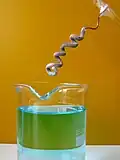 Arbre sorti du bécher, avec la solution de nitrate d'argent bleutée (dû aux ions Cu2+ apparus lors de la réaction).