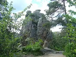 L'arc de Triomphe.