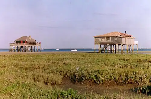 Cabanes tchanquées du Bassin d'Arcachon.