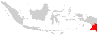 Image illustrative de l’article Archidiocèse de Merauke
