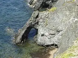 Arche