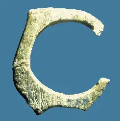 Pendeloque en os du Châtelperronien, grotte du Renne, couche X~ -38 000 à -32 000 ans(largeur 32 mm).