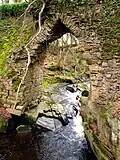 Ardara Bridge, Cadamstown.