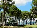 Parc Prato derrière la cathédrale San Donato.